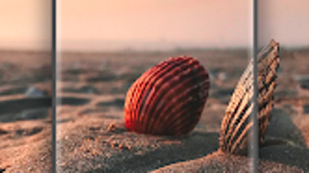 Immagine 0 per 