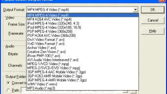 4U MP4 Video Converter