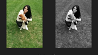  için 0 numaralı resim