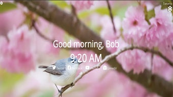 الصورة 0 لـ 