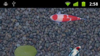 の画像0