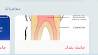 الصورة 0 لـ 
