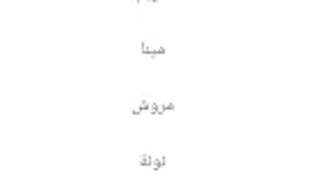 الصورة 0 لـ 