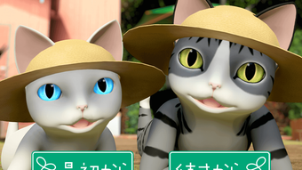 รูปภาพ 0 สำหรับ 