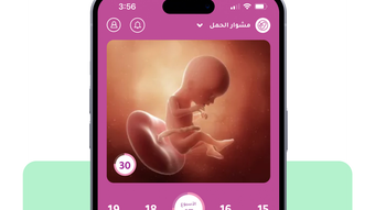 الصورة 0 لـ 