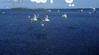 الصورة 0 لـ 