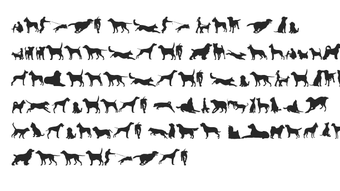  için 0 numaralı resim