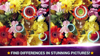 Find the Difference Flowers – Spot the Differences