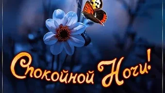 Imagem 0 para 