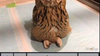 Изображение 0 для 