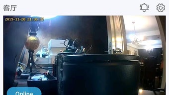 الصورة 0 لـ 