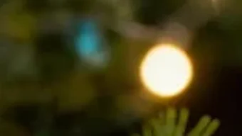 Imagem 0 para 