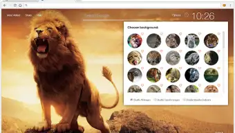Wild Cats Wallpaper HD Lion-Tiger-Puma Themes