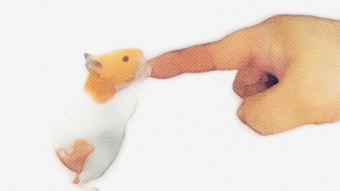 의 이미지 0