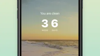 Clean Day  Sobriety Counter