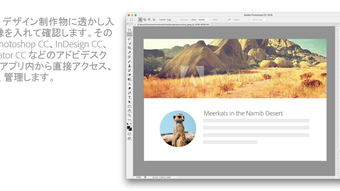 の画像0