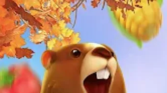 الصورة 0 لـ 