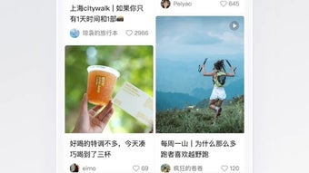 의 이미지 0