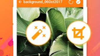 的第0张图片