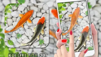 Fish Live Wallpaper 2021: Aquarium Koi Backgrounds