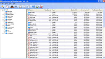 Disk Doctors FAT Data Recovery