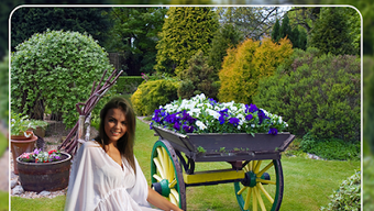  için 0 numaralı resim