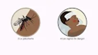  için 0 numaralı resim