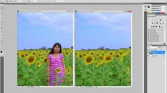 Adobe Creative Suite Premium - Jeu vidéo - Achat & prix