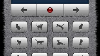 Human-to-Cat Translator