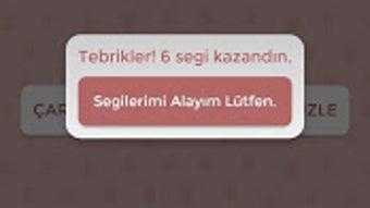  için 0 numaralı resim