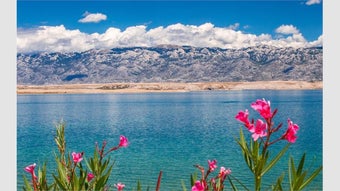  için 0 numaralı resim