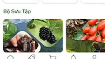 รูปภาพ 0 สำหรับ 