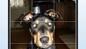 の画像0
