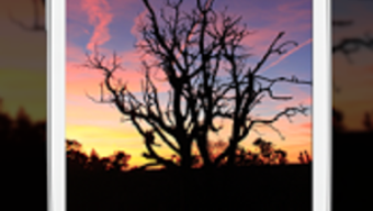 Изображение 0 для 