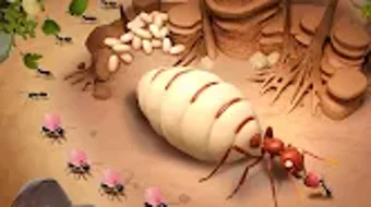 Изображение 0 для 