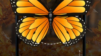 Imagem 0 para 
