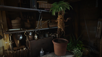 Изображение 0 для 