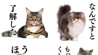 の画像0