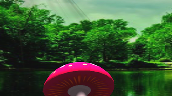 3D Mushroom Live Wallpaper New