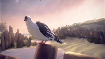  için 0 numaralı resim