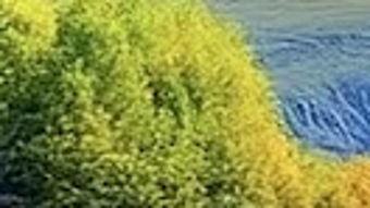 Bild 0 för 