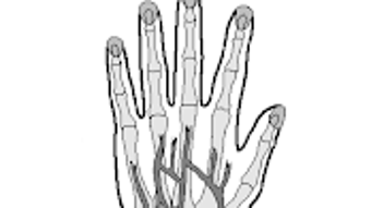 Image 0 for 