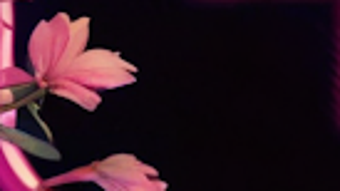 Imagem 0 para 