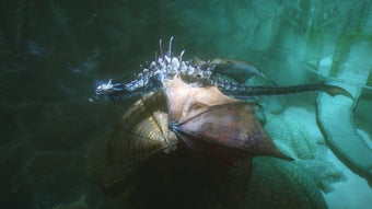 Image 0 for 