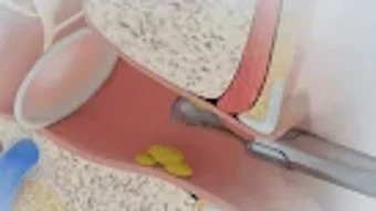 الصورة 0 لـ 