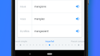 iTranslate Translator Dictionary