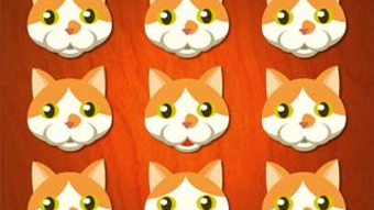 チビ猫❣ リクエスト 2点 まとめ商品 ちびねこ様 リクエスト 2点 まとめ商品 - メルカリ