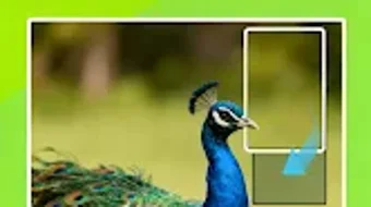 الصورة 0 لـ 