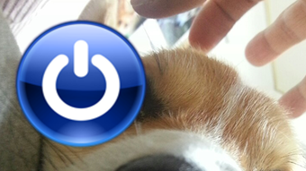 Imagem 0 para 