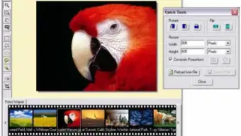 ABC Image Browser